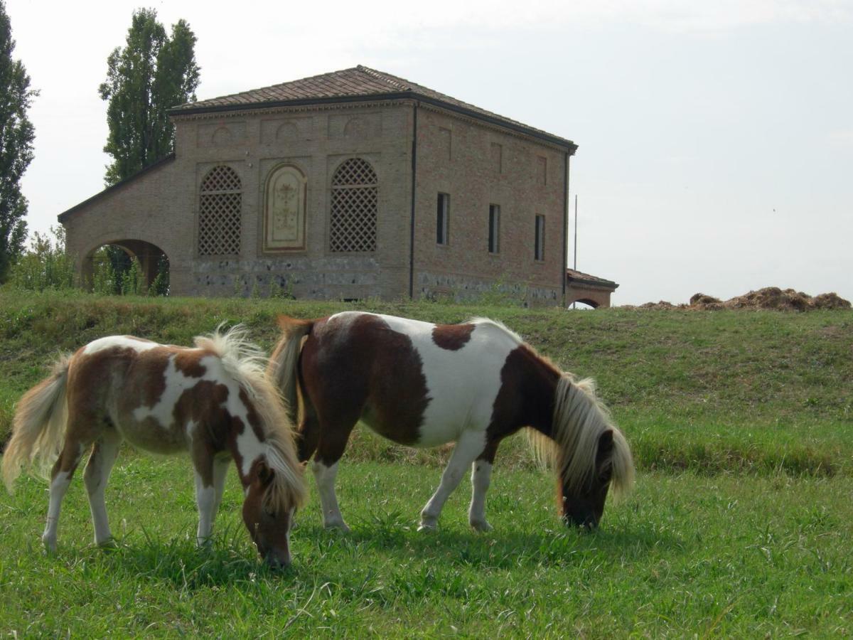 Agriturismo Corte Ghiara Fontanellato Exterior photo